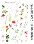 Red rose, green hydrangea, bright tulips, carnation, ranunculus, spring garden flowers, eucalyptus, greenery, fern, vector design big set. Wedding summer collection. Elements are isolated and editable
