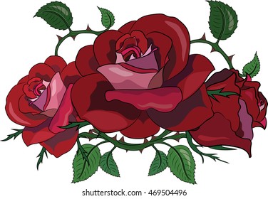 Red rose with green leaf design, isolated on white, vector illustration