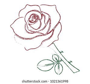 Red Rose With Green Leaves, Chalk Drawing