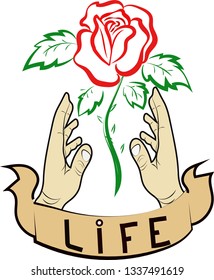 Red rose with green leaves hand drawn, with banner with word life
