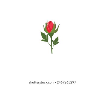 Red rose with green leaves isolated on white background.  A classic red rose with green leaves perfectly isolated against a pure white background. Single Red Rose Isolated on White Background 