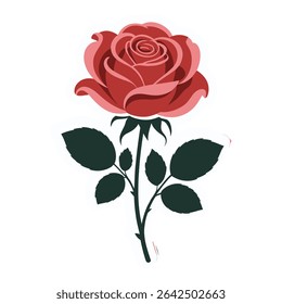 Red rose with green leaves isolated on white background