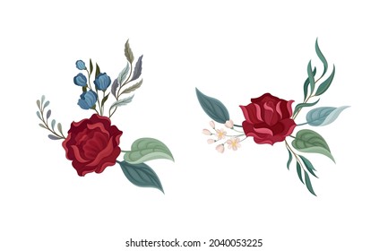 Red rose with green leaves set. Vintage floral decoration with flowers and branches for greeting, invitation card vector illustration