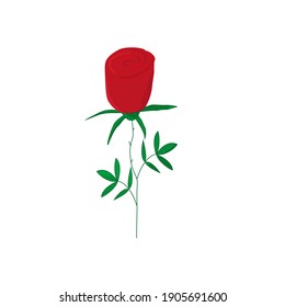 Red rose with green leaves. Vector cartoon on a white background. Hand drawing.