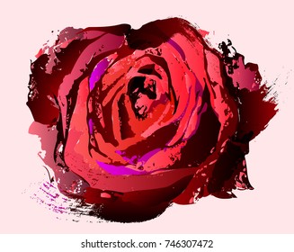 red rose hand drawn