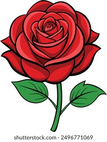 Red rose hand drawn, vector art illustration.