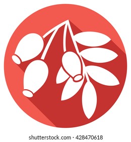 red rose hip with leaves flat icon