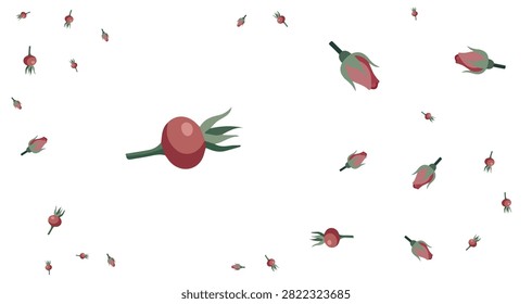 red rose hips with green stems scattered on a clean white background showing natural botanical elements and organic shapes