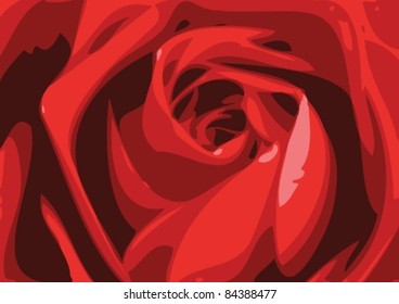Red rose Illustration
