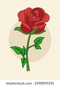 Red rose illustration with green leaves on beige background. Romantic botanical artwork.
