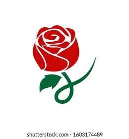 Red Rose Illustration Logo Design