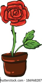 Red rose, illustration, vector on white background.