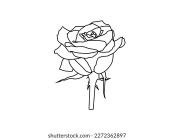 Red Rose Images - Free Download on vector illustration design.