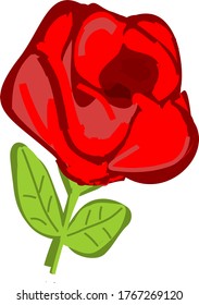 Red Rose Isolated Floral Vector