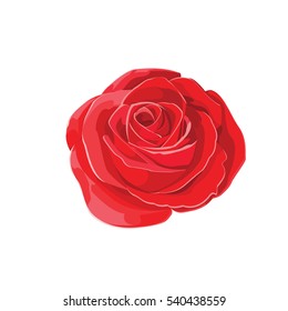 Red Rose. Isolated Flower on a White Background. illustration vector