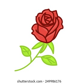 red rose isolated illustration on white background