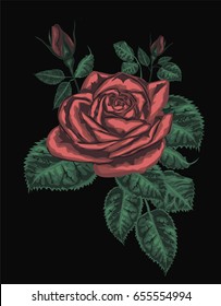 Red Rose isolated on Black  - Vector Art