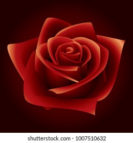 red rose isolated on white background