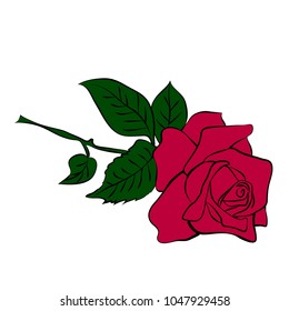 Red rose isolated on white background. Vector illustration.