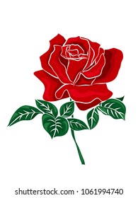 Red rose isolated on white background. Vector illustration.