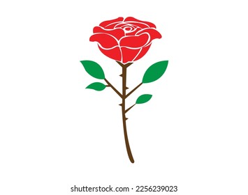 red rose isolated on white. red rose vector design and illustration. red rose with green leaf.