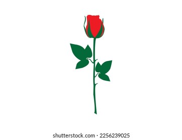 red rose isolated on white background. red rose with green leaf. red rose vector clip art.