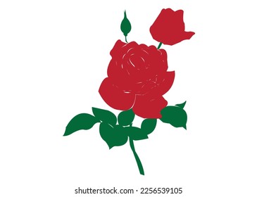 red rose isolated on white background. red rose vector and clip art . red rose illustration.