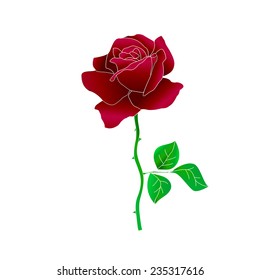 red rose isolated on white background. Vector illustration.