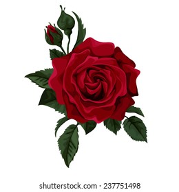 Red rose isolated on white with leaves. Perfect for background greeting cards and invitations of the wedding, birthday, Valentine's Day, Mother's Day.