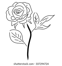 Red Rose isolated on white, vector illustration.