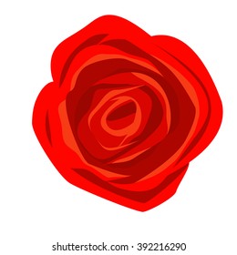 red rose isolated on white background.  Vector illustration. 