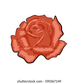 Red rose isolated on a white background.Vector flower over white