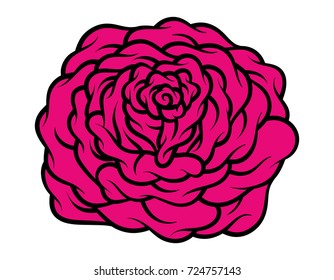 Red rose isolated on white background. Vector illustration.