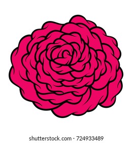 rote Rose einzeln auf weißem Hintergrund. Vektorillustration.