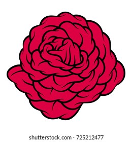 Red rose isolated on white background. Vector illustration.