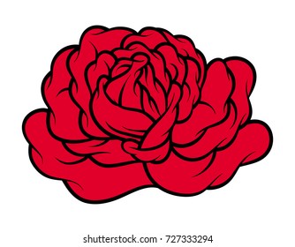 Red rose isolated on white background. Vector illustration.