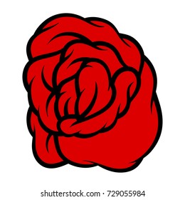 Red rose isolated on white background. Vector illustration.