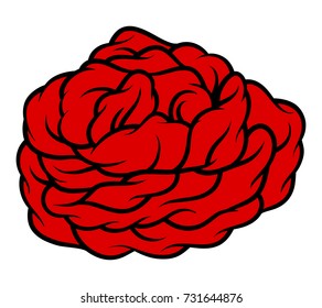 Red rose isolated on white background. Vector illustration.