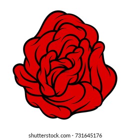 Red rose isolated on white background. Vector illustration.