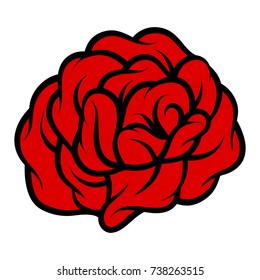 Red rose isolated on white background. Vector illustration.