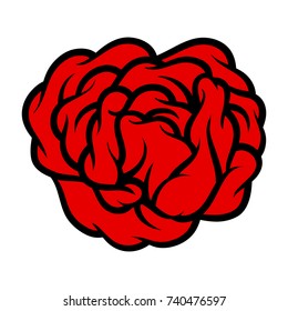 Red rose isolated on white background. Vector illustration.