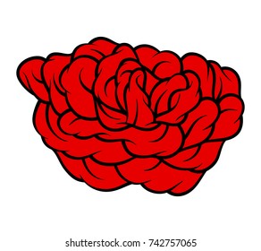 Red rose isolated on white background. Vector illustration.