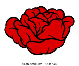 Red rose isolated on white background. Vector illustration.