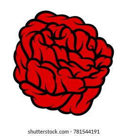 Red rose isolated on white background. Vector illustration.