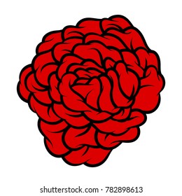 Red rose isolated on white background. Vector illustration.