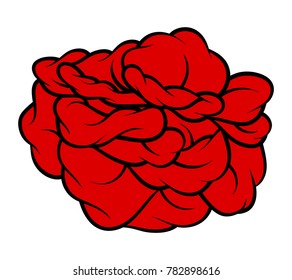 Red rose isolated on white background. Vector illustration.