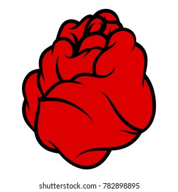 Red rose isolated on white background. Vector illustration. 