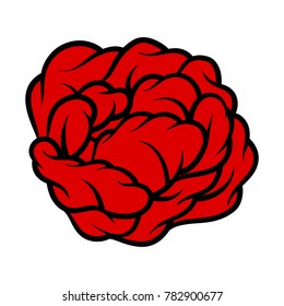 Red rose isolated on white background. Vector illustration.