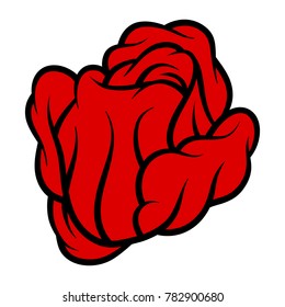 Red rose isolated on white background. Vector illustration.