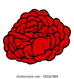 Red rose isolated on white background. Vector illustration.